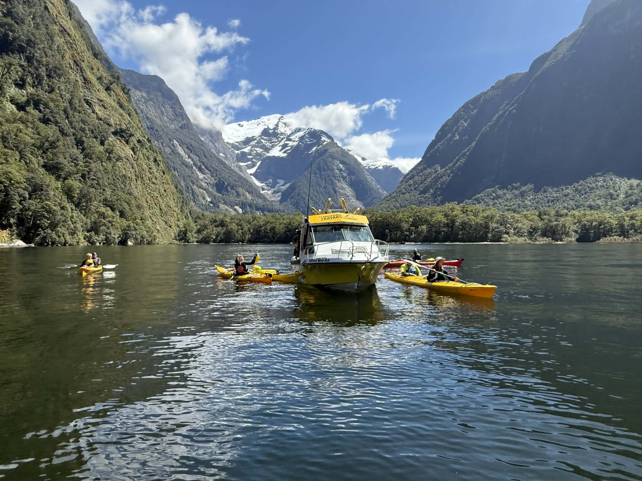 Milford Sound Afternoon Kayak in NZ | Rosco's Milford Kayaks