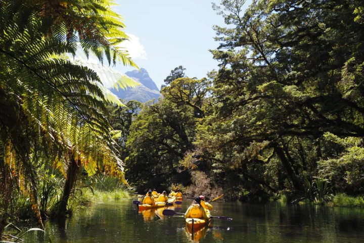 a boat floating along a river next to a tree